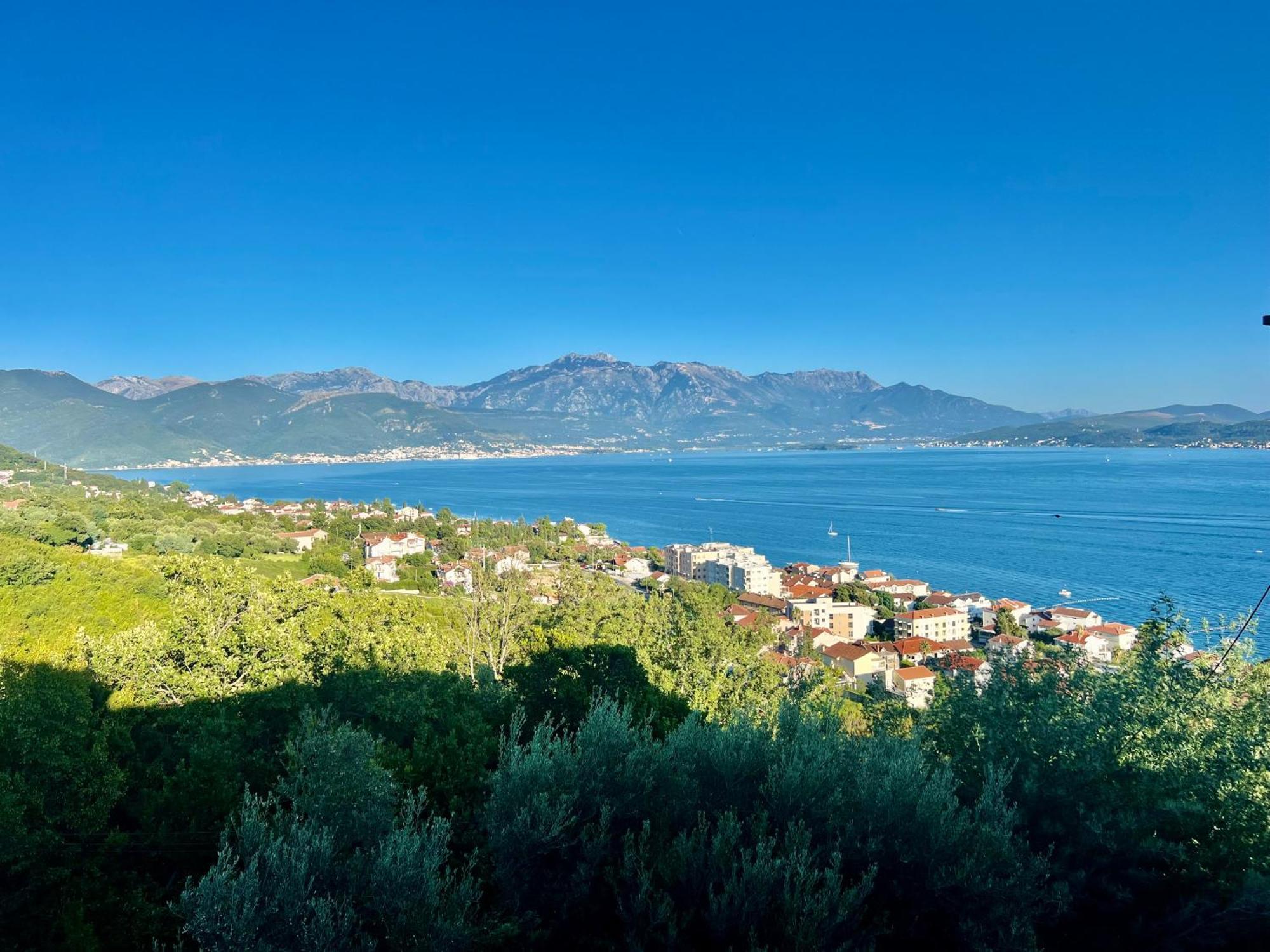 Acacia Hill B8 Daire Ðenovići Dış mekan fotoğraf